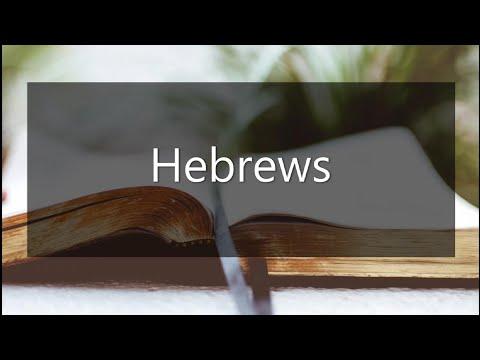 Hebrews 10:25-31 - Bible Study