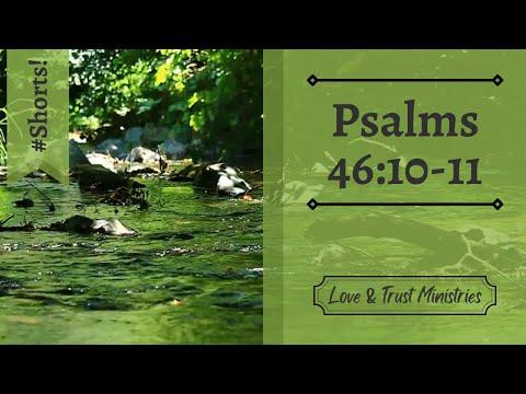 Be Still and Know That He Is God! | Psalms 46:10-11 | August 2nd | Rise and Shine Shorts
