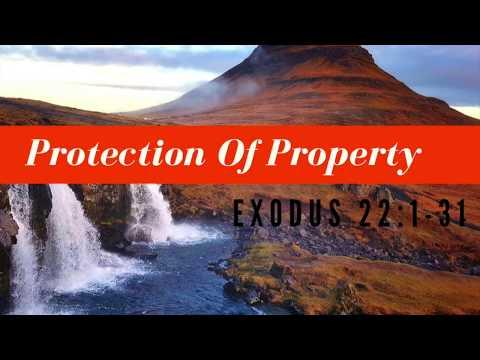 EXODUS 22:1-31 Protection Of Properties NIV Female Narration