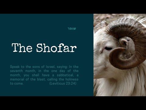 The Shofar: Leviticus 23:24