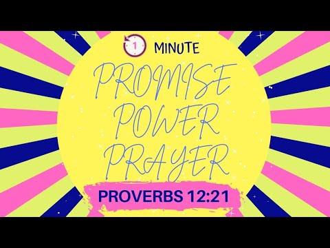 Promise Power Prayer:  Quick Prayers before bed  Proverbs 12:21