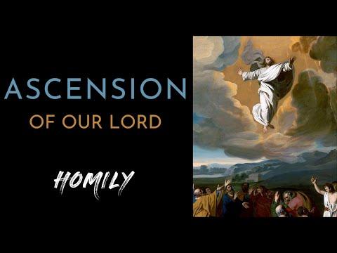 Homily for The Ascension of the Lord ( Year C ) 7th Sunday of Easter May 29, 2022 | Luke 24:46-53