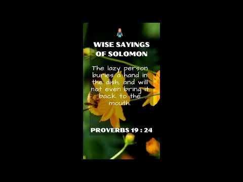 Proverbs 19:24 | NRSV Bible - Wise Sayings of Solomon
