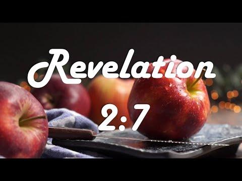 God's Promises | Revelation 2:7 | Those who overcome will eat from the tree of life in paradise