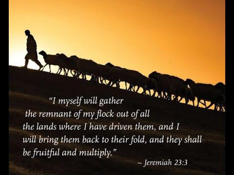 Reflections on Jeremiah 23:1-6