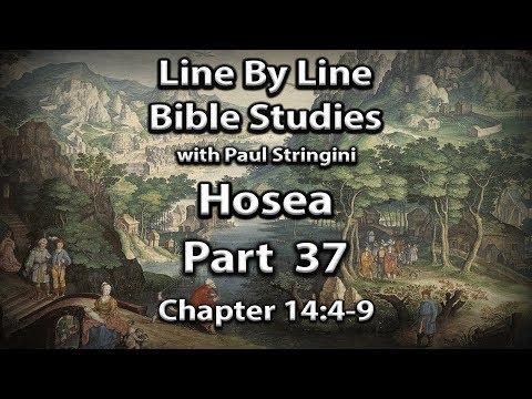 The Prophet Hosea Explained - Bible Study 37 - Hosea 14:4-9