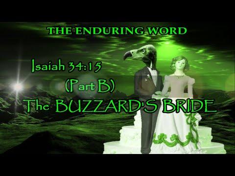 THE BUZZARD'S BRIDE  (Isaiah 34:15 - Pt. B)