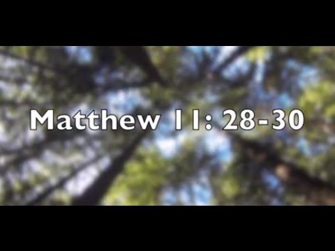 Daily Bible Verse - Matthew 11: 28-30 'Come Onto Me, All You Who Are Weary...'