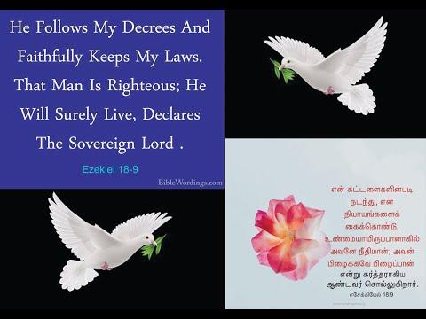 He follows my decrees    and faithfully keeps my laws.(ezekiel 18:9)