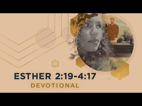 Esther 2:19-4:17 | Such a Time As This | Bible Study
