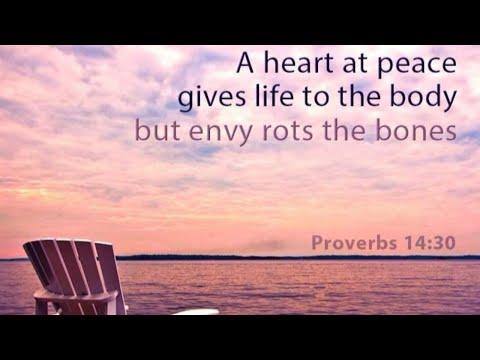 Proverbs 14:30 silent meditation