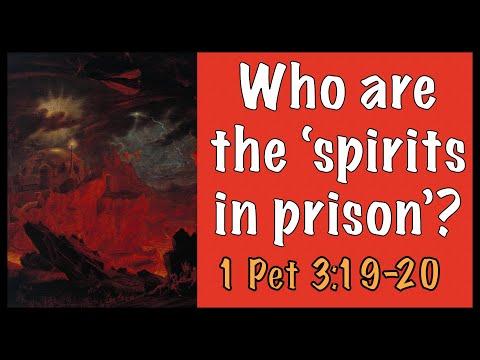 Who are the 'spirits in prison'? (1 Pet 3:19-20)