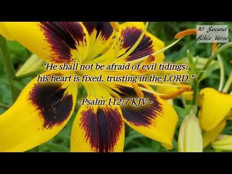 Psalm 112:7 kjv