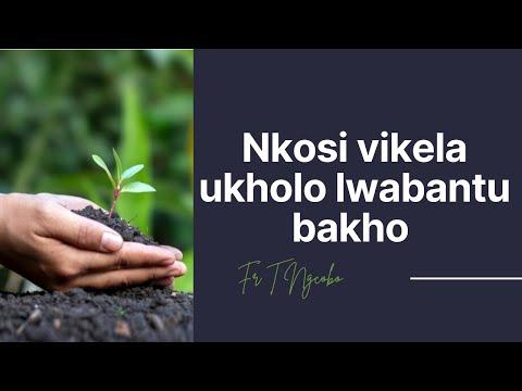 Bangaki abantu abahlukumezekile ngenxa yami? | Fr. T Ngcobo reflects | Ruth 2:1-17