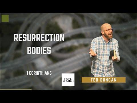 Resurrection Bodies (1 Corinthians 15:35-49)