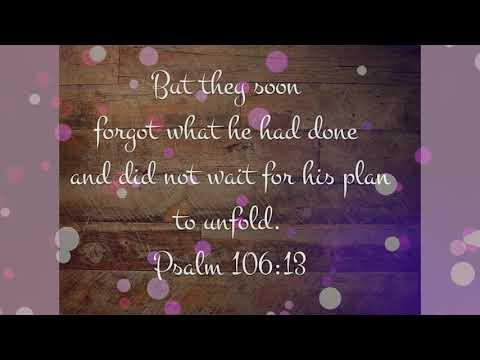 Psalm 106:13 Today's Bible Devotion