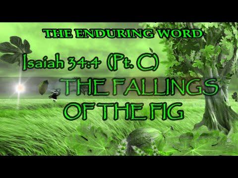 THE FALLINGS OF THE FIG  (Isaiah 34:4 - Pt. C)