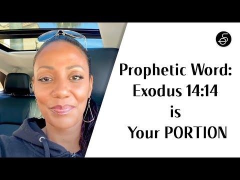 Prophetic Word: Exodus 14:14 is Your PORTION ???????? #rest #victory #acceleration