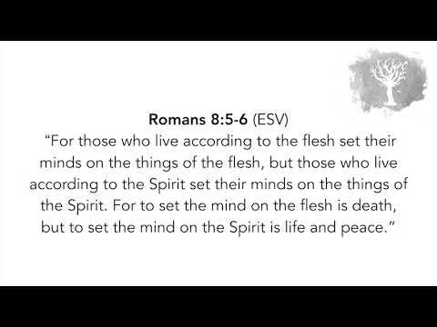 SCRIPTURE MEMORY SONG | Romans 8:5-6
