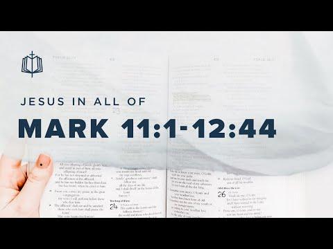 ENTRY, FIG TREE, AND TEMPLE | Bible Study | Mark 11:1-12:44