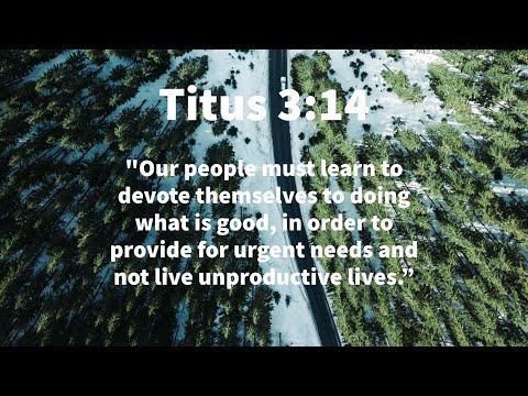 Men Bible Study  - Titus 3:14