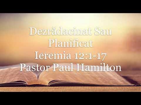 Bible Study: Jeremiah 12:1-17 - Uprooted Or Planted