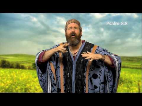 08/31/17 | Summer Fun (2) Bible Reading: Psalm 8:1-9