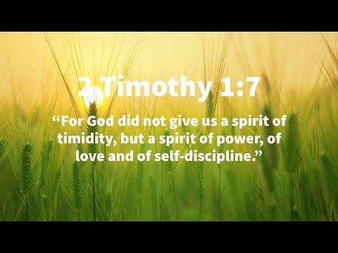 Men Bible Study - 2 Timothy 1:7