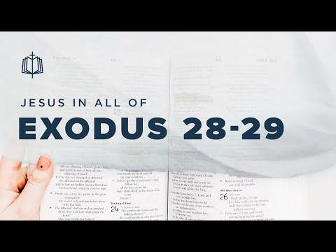 PRIESTLY CLOTHES | Bible Study | Exodus 28-29