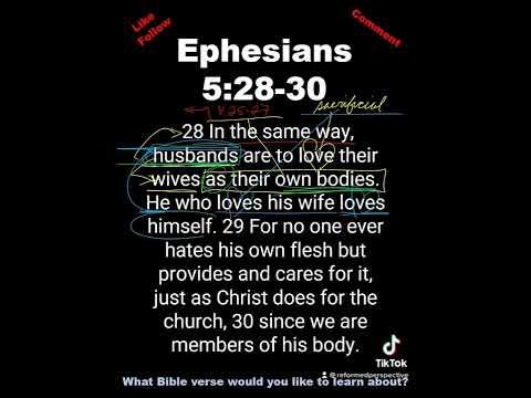 1 Minute Bible Study // Ephesians 5:28-30