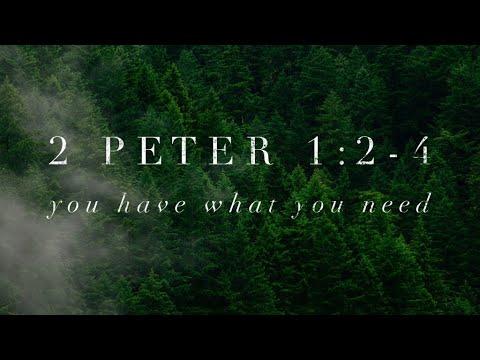 2 Peter 1:2-4  "You Have What You Need" - Pastor Matthew Johnson