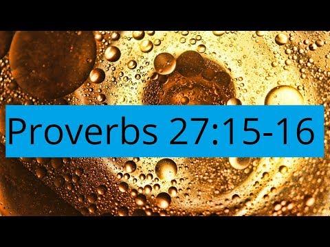 Proverbs 27:15-16 Nagging Thoughts