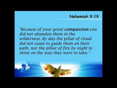 Nehemiah 9:19 In His great compassion He will not abandon us