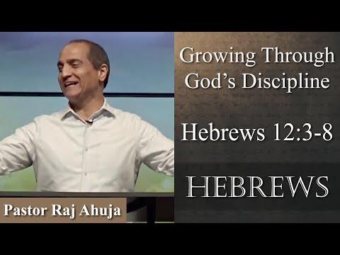 Growing Through God’s Discipline // Hebrews 12:3-8