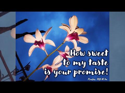 PSALMS 119:14, 24, 72, 103, 111, 131| HOW SWEET TO MY TASTE IS YOUR PROMISE!