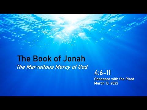 The Book of Jonah | Obsessed with the Plant | Jonah 4:6-11