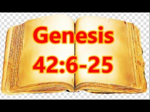 Sunday School Lesson|September 20 2020| Genesis 42:6-25