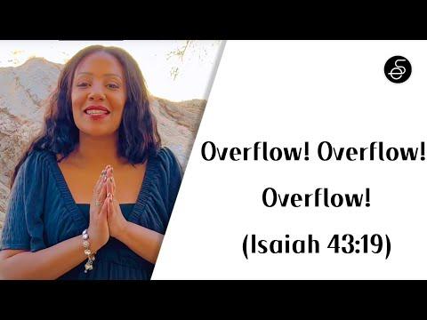 “Overflow! Overflow! Overflow!” ????(Isaiah 43:19) #promotion #favor #success