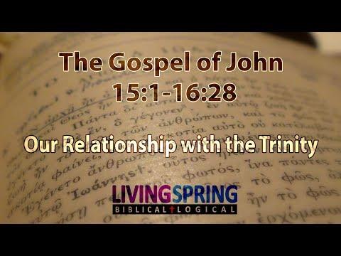 Our Relationship with the Trinity (John 15:1-16:28)