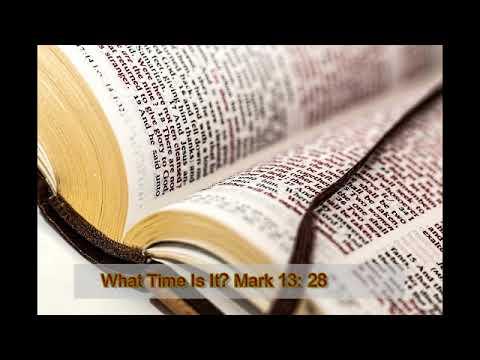What Time Is It? Mark 13:28