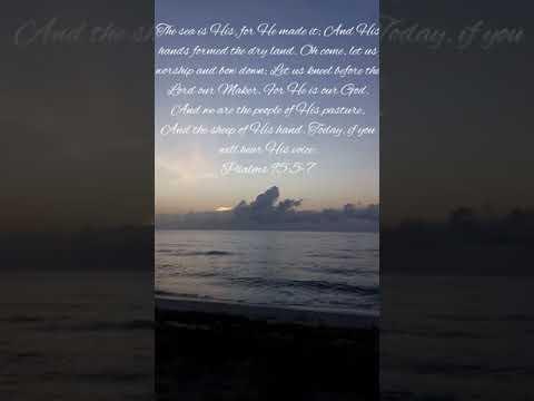MIAMI beach sunrise Calming waves Psalms 95:5-7|soothing |white noise |study relaxation