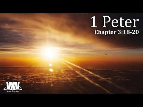 Verse by Verse - 1 Peter 3:18-20