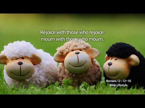[The Bible Lifestyle with Shincheonji church] Romans 12: 12~16