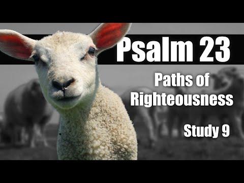 09 Ps 23:3 Righteous Paths