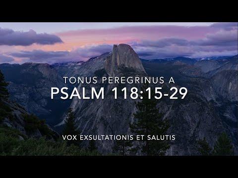 Psalm 118:15-29 – Vox exsultationis et salutis