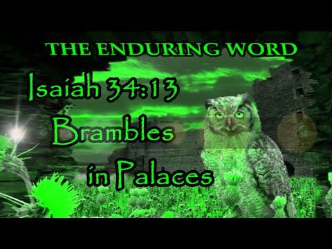 BRAMBLES IN PALACES  (Isaiah 34:13)