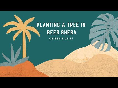 Planting A Tree In Beer Sheba: Genesis 21:33