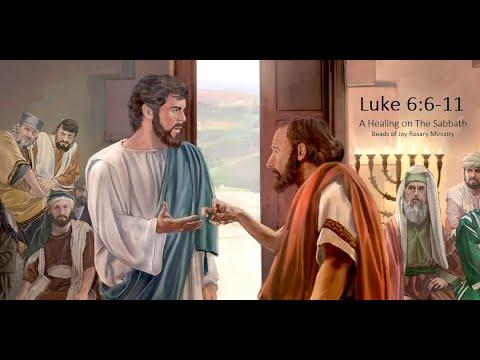Today's Catholic Mass Gospel and Reflection for September 5, 2022 - Luke 6:6-11