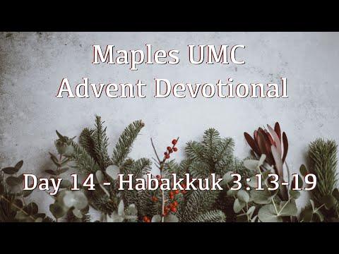 Advent Daily Devotional - Day 14: Habakkuk 3:13-19 - Joel Garrott