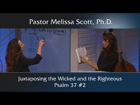 Psalm 37:23 Juxtaposing the Wicked and the Righteous - Part 2 of 3